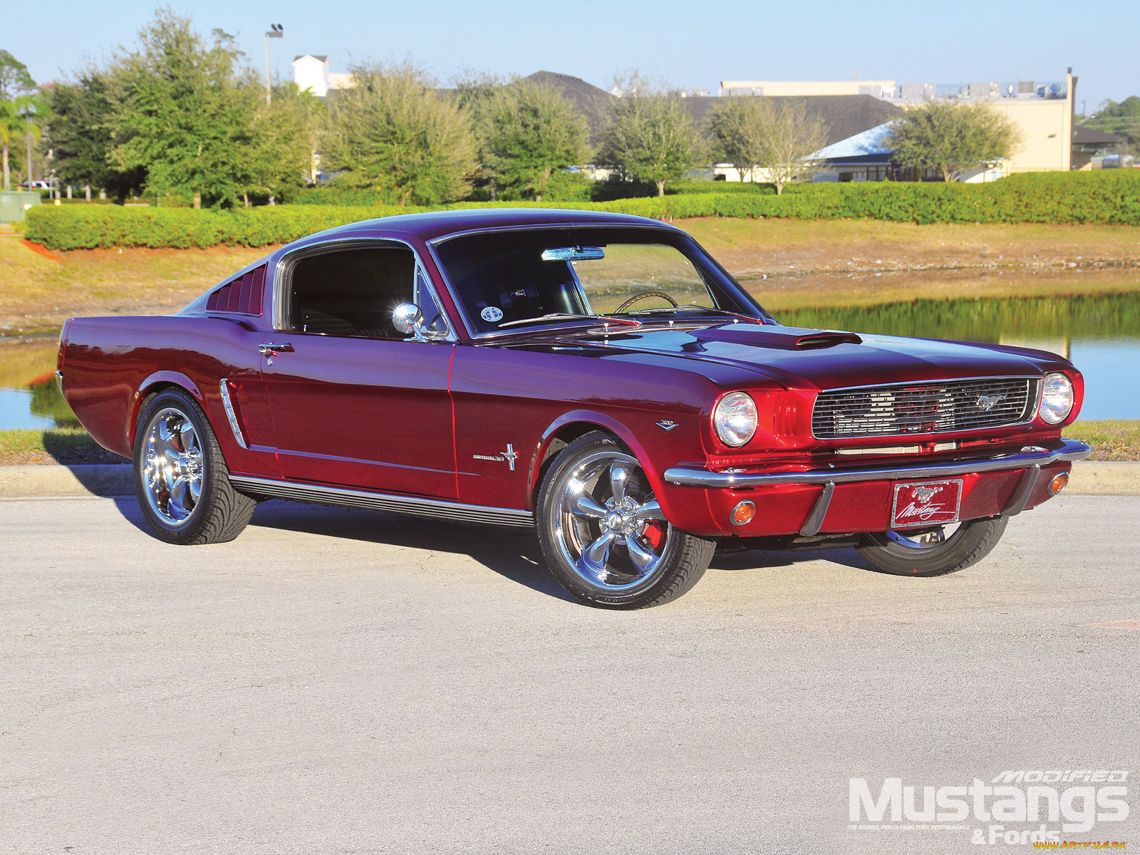 1966, ford, mustang, fastback, 